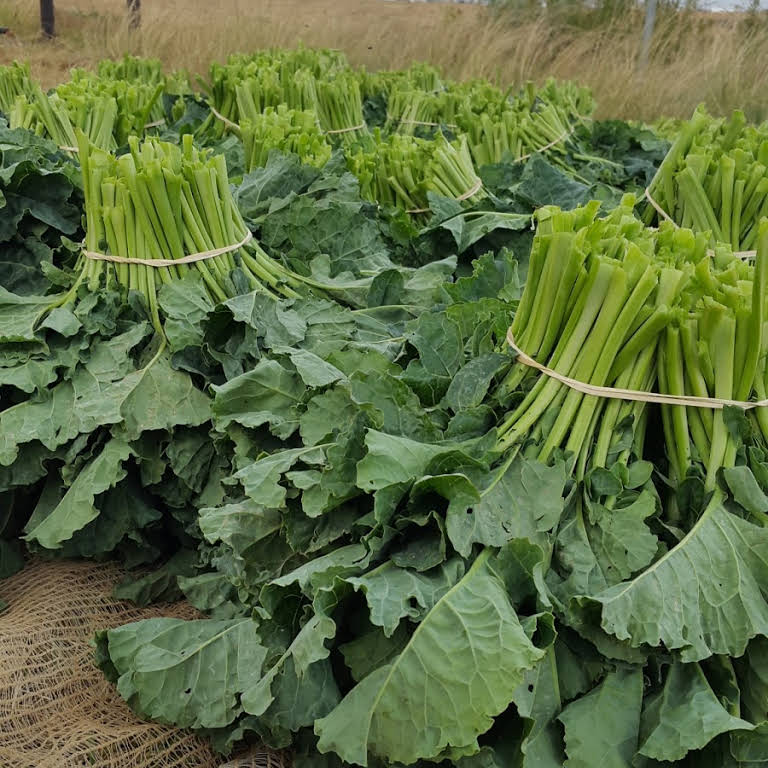 Kale